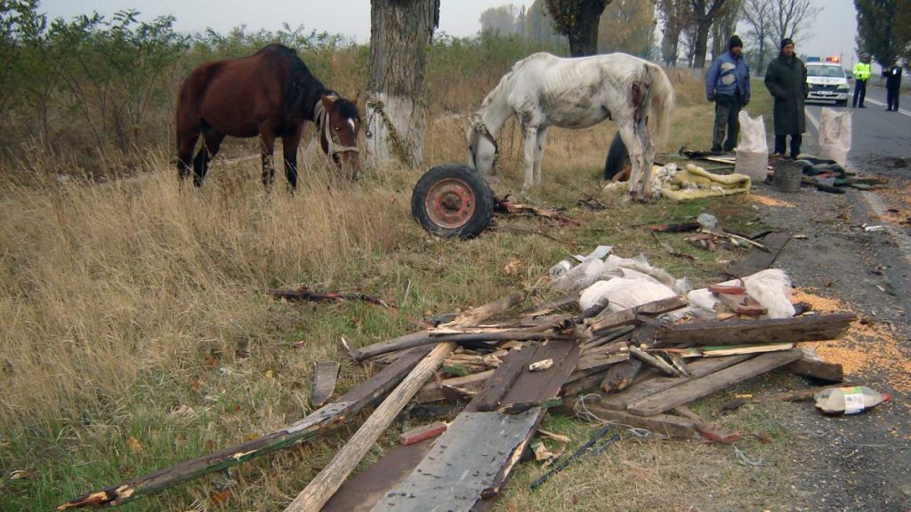 Accident grav pe DN14 in Sibiu Caruta lovita de camion