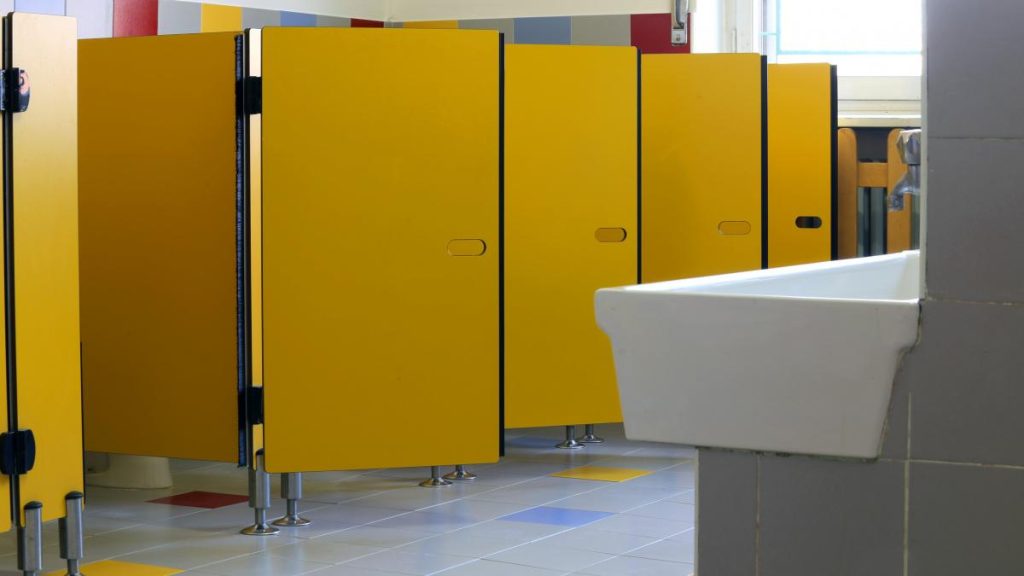 Ciolacu doreste ca toamna sa nu mai existe scoli cu toalete in curte Vom elimina definitiv acest simbol al trecutului