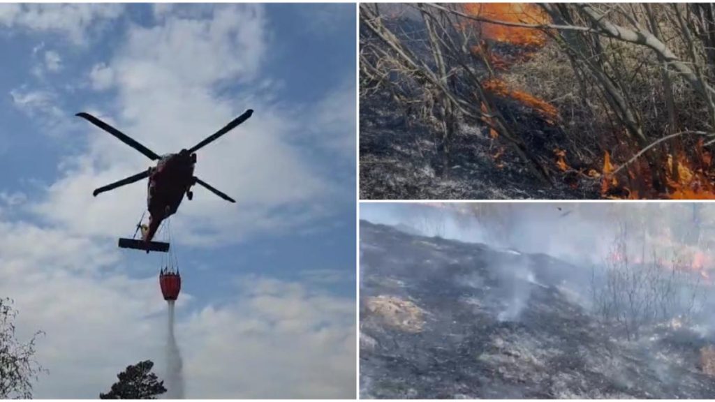 Incendiile de vegetatie greu de controlat zeci de hectare arse