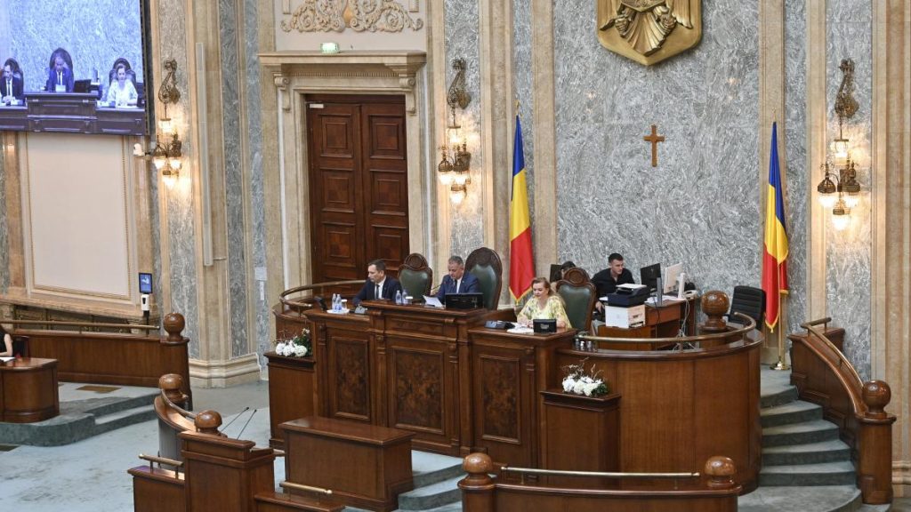 Senatul a aprobat proiectul USR pentru camere video in centrele de plasament