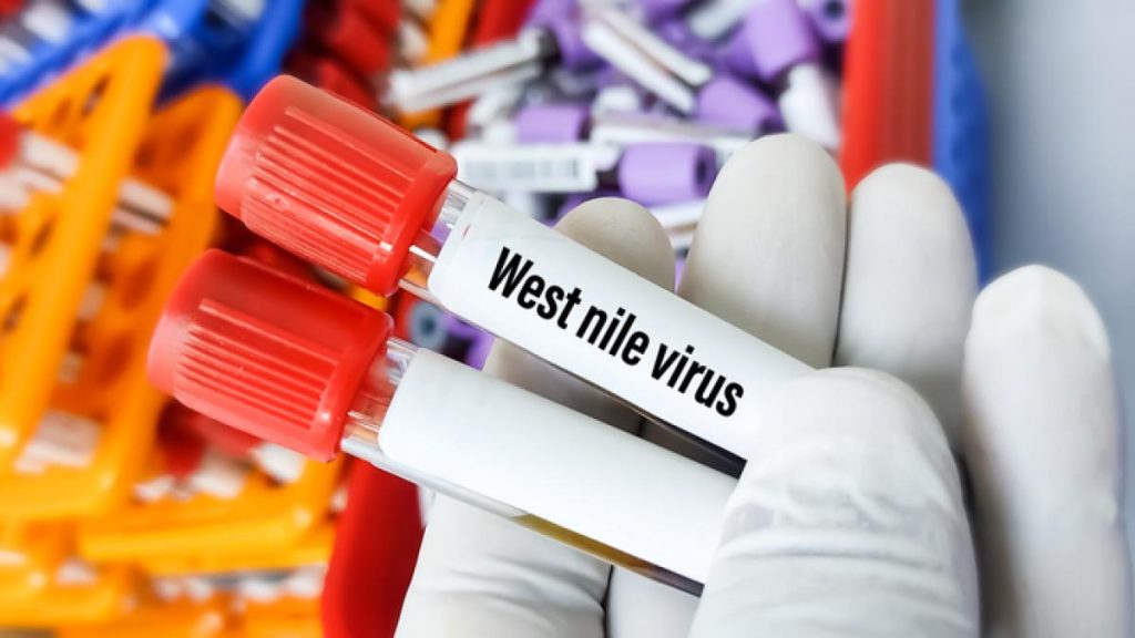 Un barbat in coma dupa inteptura unui tantar West Nile semnalul de alarma