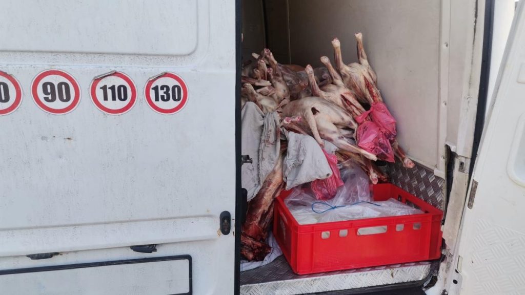 Un camion cu peste o tona de carne de miel fara acte oprit la intrarea in Bucuresti