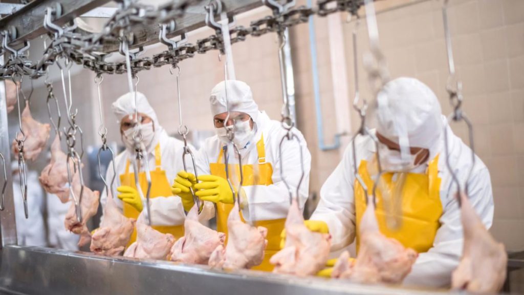 O noua fabrica de procesare a carnii in Romania
