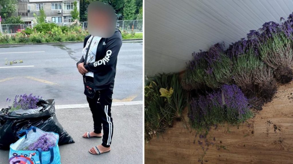 Femeie prinsa de doua ori la furat lavanda