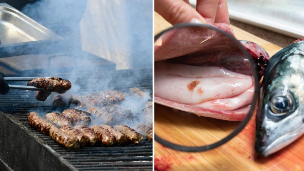 Mici cu Salmonella i peti cu larve Anisakis descoperii n Buzu