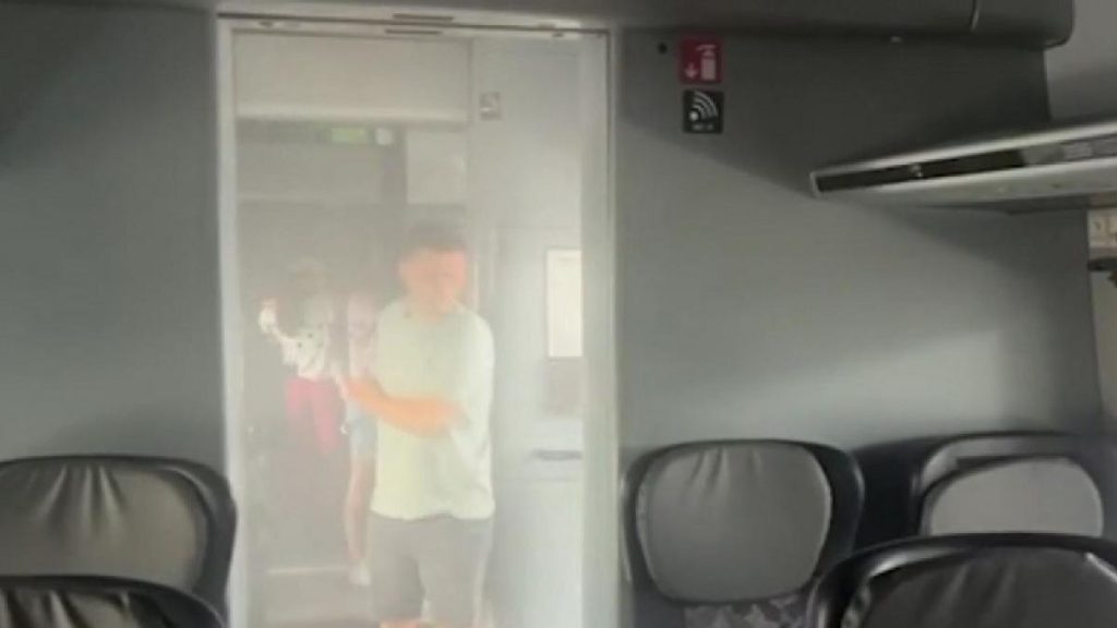Un tren de calatori a ars la Gara de Nord