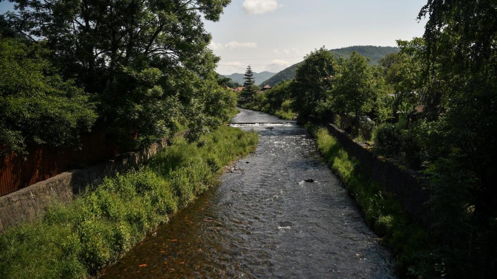 ecosistemul de pe tarnava mica este distrus poate reveni peste 10 ani