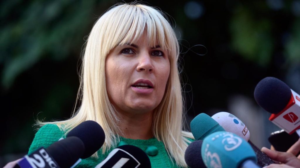 Elena Udrea a fost eliberata din inchisoare