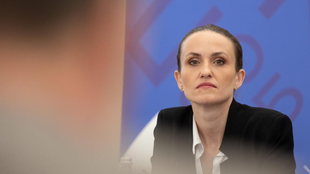 Oana Toiu avertizeaza despre riscurile dupa demisia lui Anastasiu