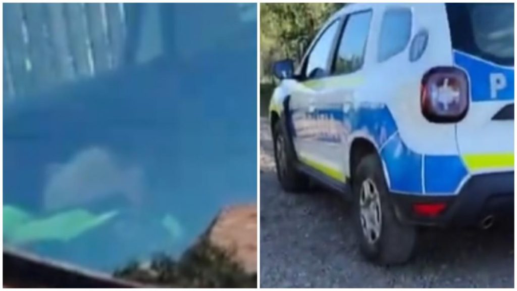 Politisti suprinsi dormind in fata unei case