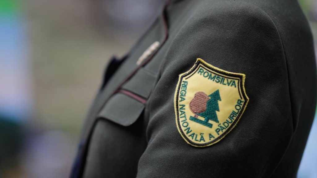 Cifrele dezastrului Romsilva Prime de 46 milioane lei pierderi uriasenec