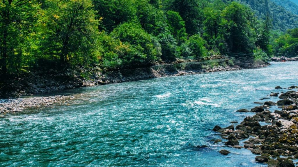 Cod galben de viituri pe rai uri in Suceava