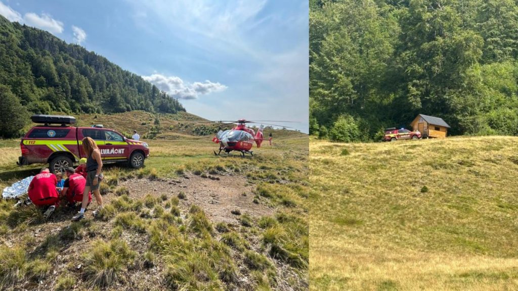 Copilul de 7 ani mucat de arpe n Maramure