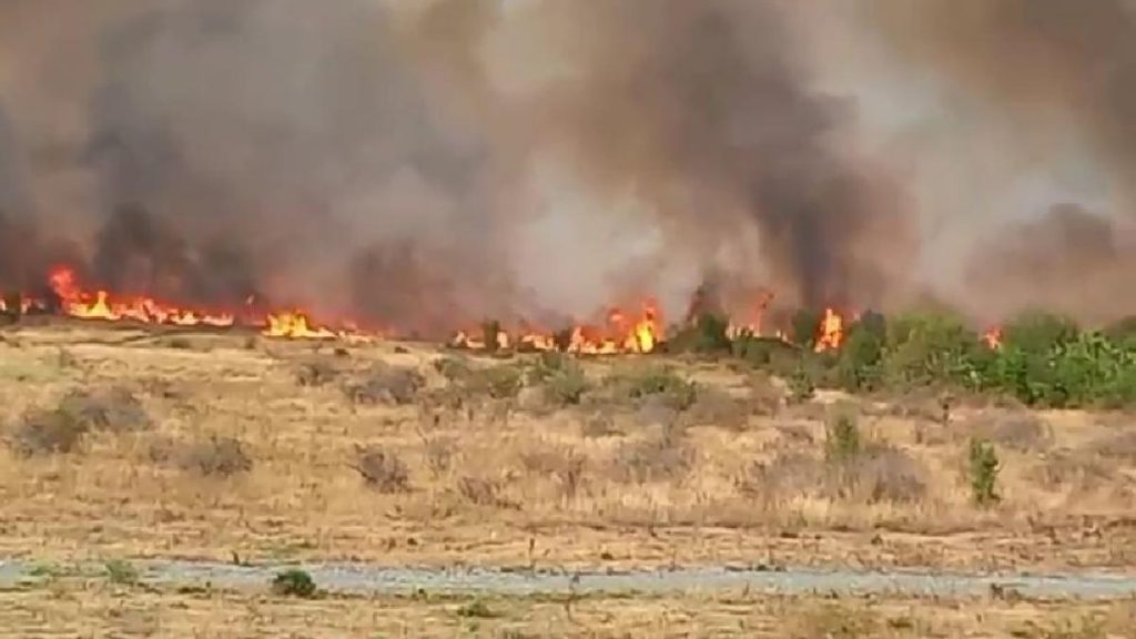 Incendiu masiv in Gorj oameni fug cu copii