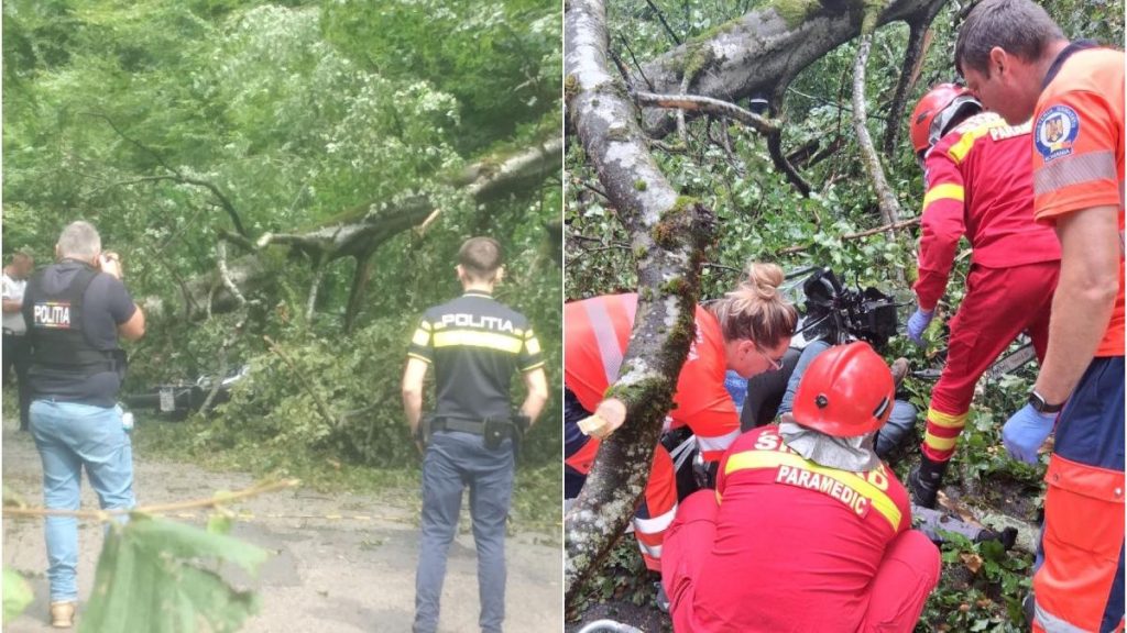Motociclist spulberat de un copac cazut in Bihor