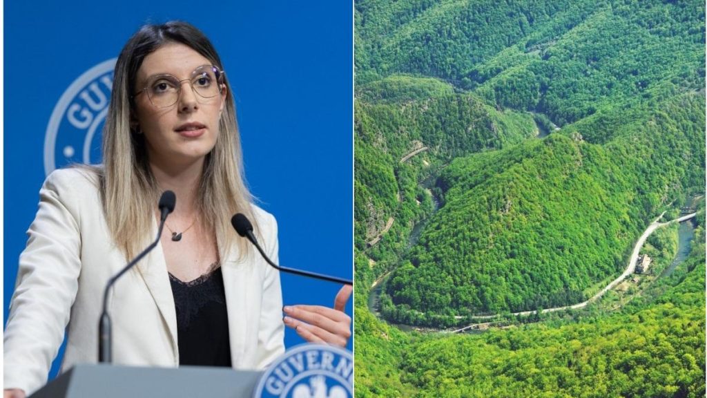 Scandal intre Romsilva si Diana Buzoianu ministra Mediului acuzata
