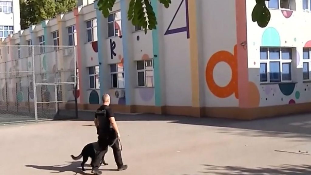 Cine este baiatul de 17 ani arestat de politie