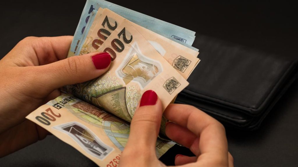 Creșterea salariului minim anul viitor: două variante analizate. Cresterea salariului minim anul viitor doua variante analizate