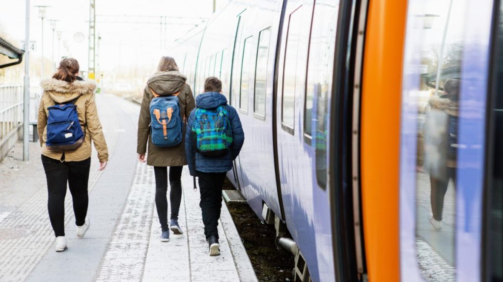 Gratuitati si reduceri pentru elevii la trenuri 2025 2026