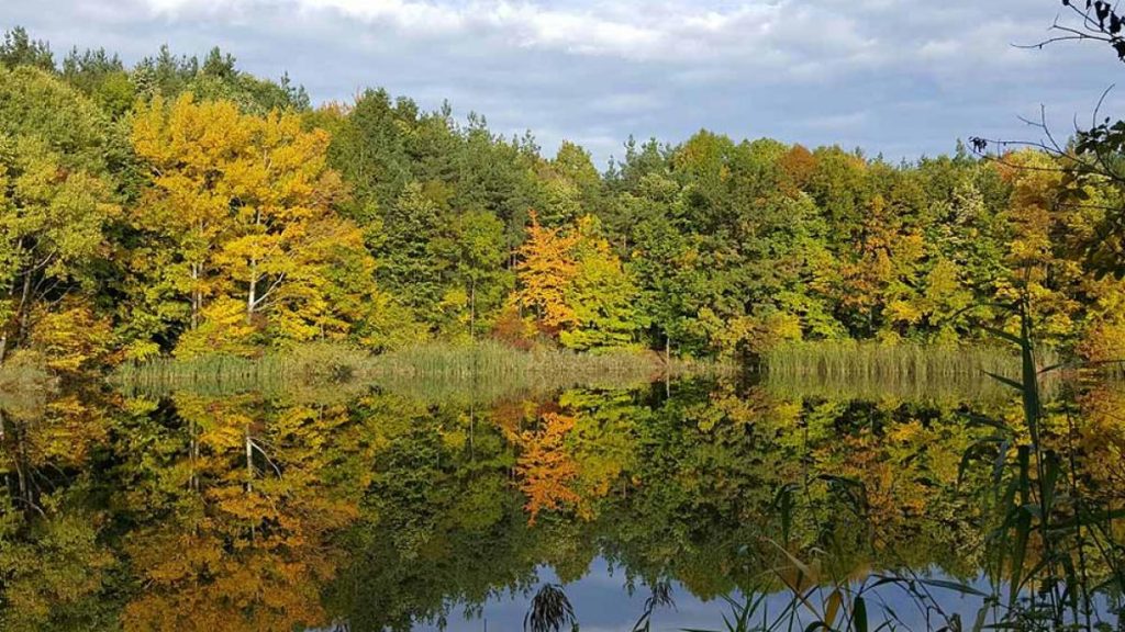 Lacul Meledic comoara geologica in pericol din seceta