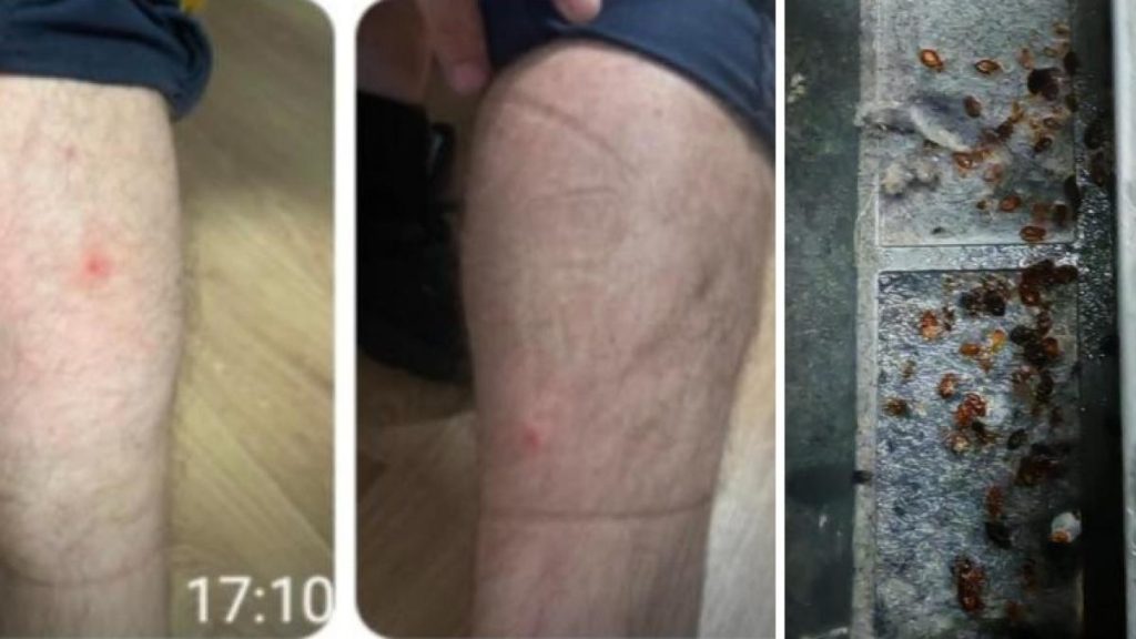 Mai muli ageni au fost mucai de plonie la Poliie