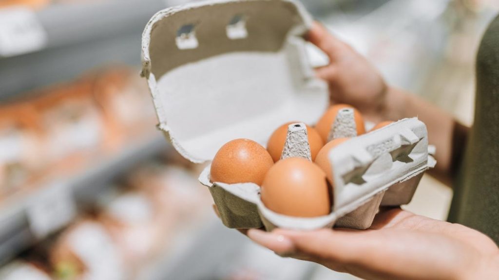 Retragere urgenta de oua bio din cauza Salmonella