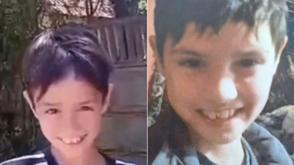 Ro Alert emis in cinci judete dupa disparitia lui Madalina