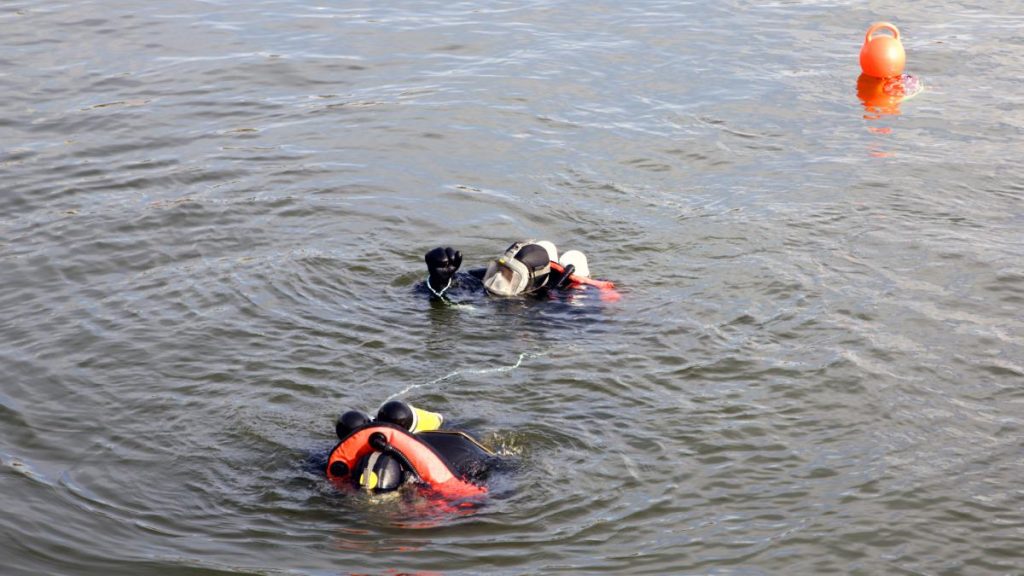Un om de afaceri disparut a fost gasit mort in Delta Dunarii