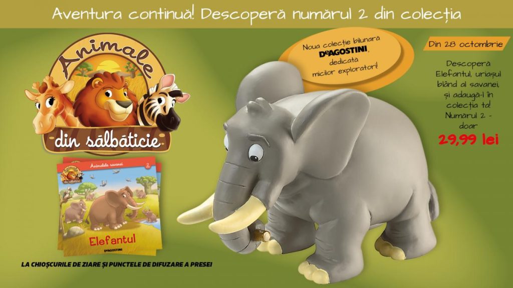 Descopera lumea fascinanta a elefantilor