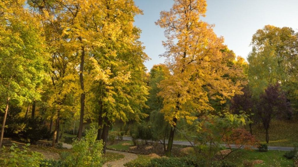 Gradinile Palatului Cotroceni se inchid pe 1 noiembrie