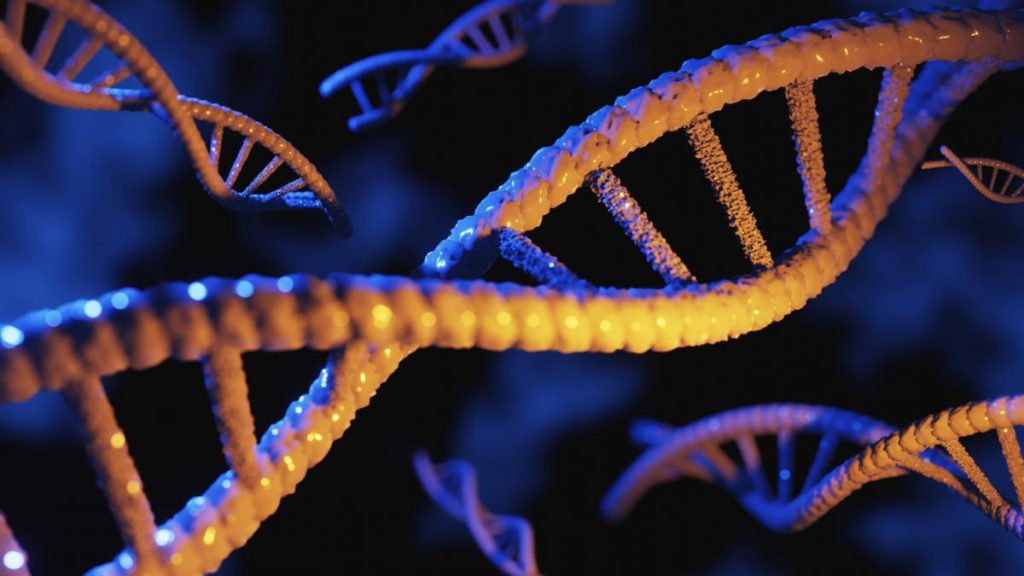 Transferul comportamentului de la o specie la alta prin modificare genetică Transferul comportamentului de la o specie la alta prin modificare genetica