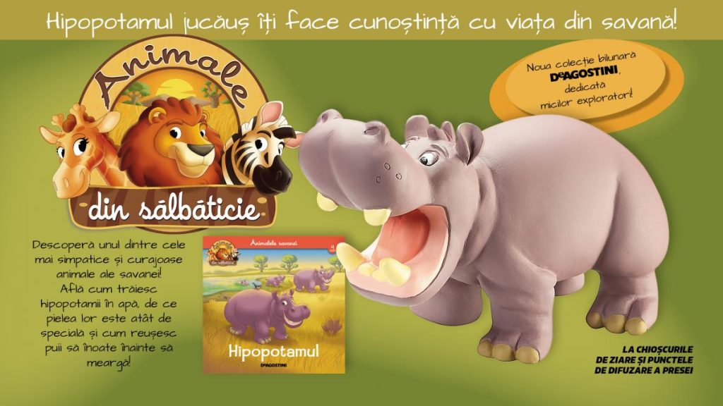 Descoperă lumea fascinantă a hipopotamului Descopera lumea fascinanta a hipopotamului
