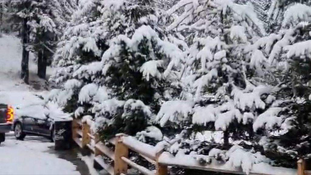 Imagini din stațiunea Straja, cu 10 centimetri de zăpadă Imagini din statiunea Straja cu 10 centimetri de zapada