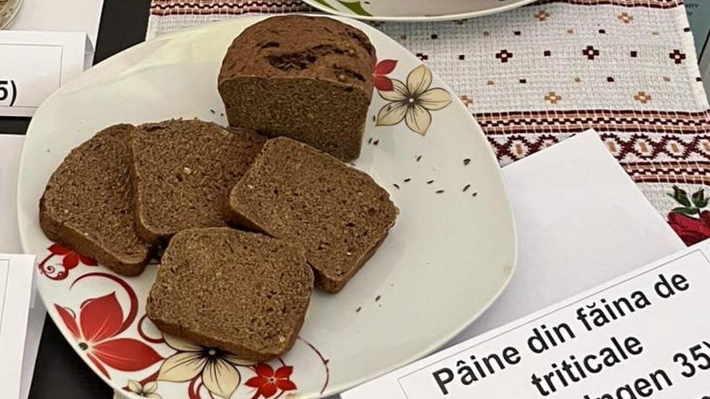 Pâinea din triticale, invenția cercetătorilor din Suceava Painea din triticale inventia cercetatorilor din Suceava 1