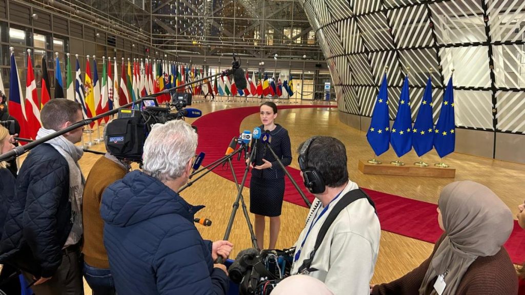 Oana Toiu a cerut avansarea negocierilor pentru Moldova si Ucraina