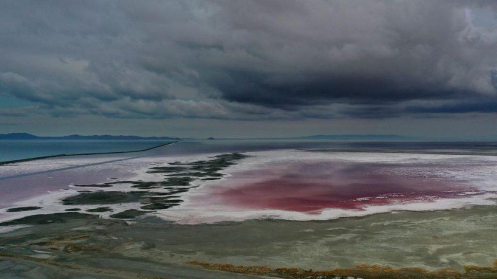 Un animal misterios descoperit în Marele Lac Sărat Un animal misterios descoperit in Marele Lac Sarat