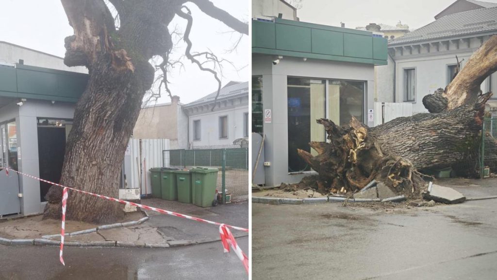 Bucurestiul a pierdut un simbol important