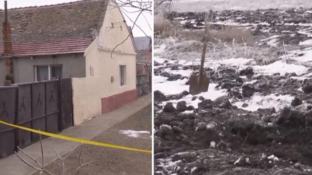 Crima socanta in Timis Un baiat de 15 ani a fost omorat si ingropat pe un camp de patru copii