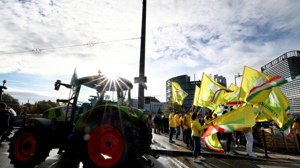 Ministrul Agriculturii cere garanții suplimentare UE-Mercosur Ministrul Agriculturii cere garantii suplimentare UE Mercosur
