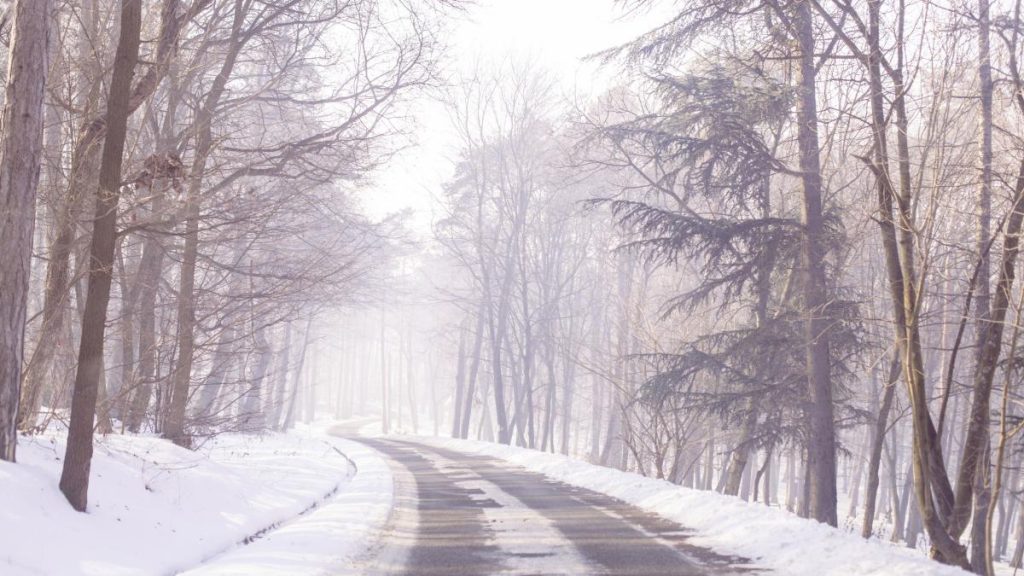 Temperaturi scazute si precipitatii abundente in ianuarie