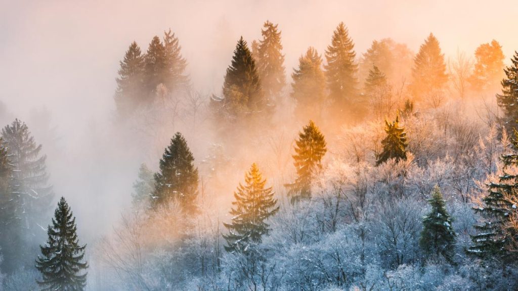 Vesti bune de la meteorologi Temperaturi in crestere in tara