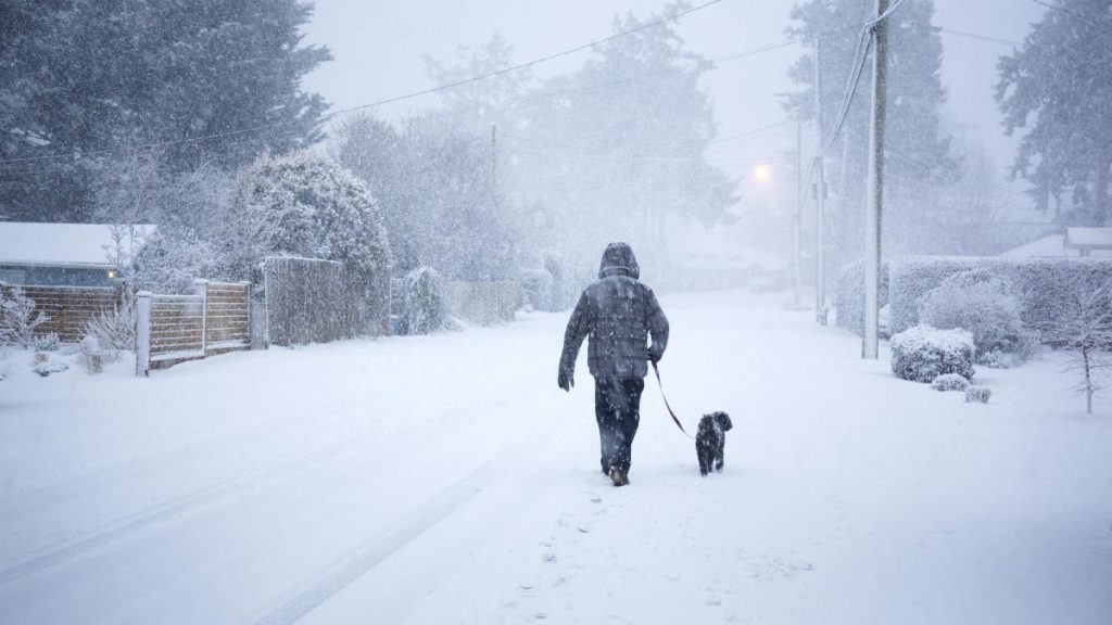 cea mai rece luna ianuarie din ultimii 7 ani