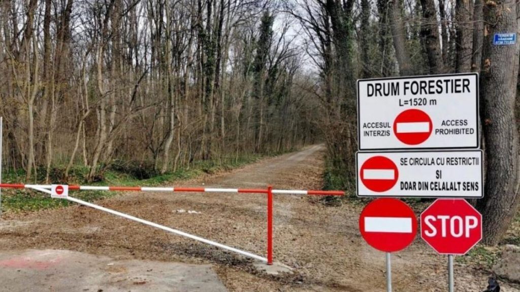 Corpul de Control trimis de Ministerul Mediului a incheiat verificarile referitoare la drumul forestier din