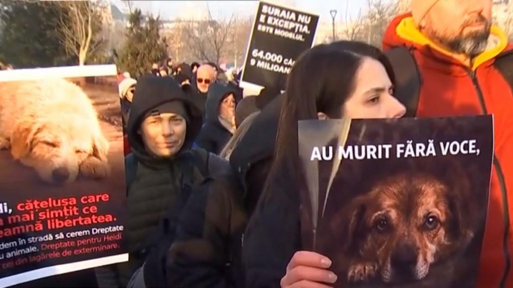 Peste 1000 de persoane au participat la protestul organizat in urma tragediei de la Suraia
