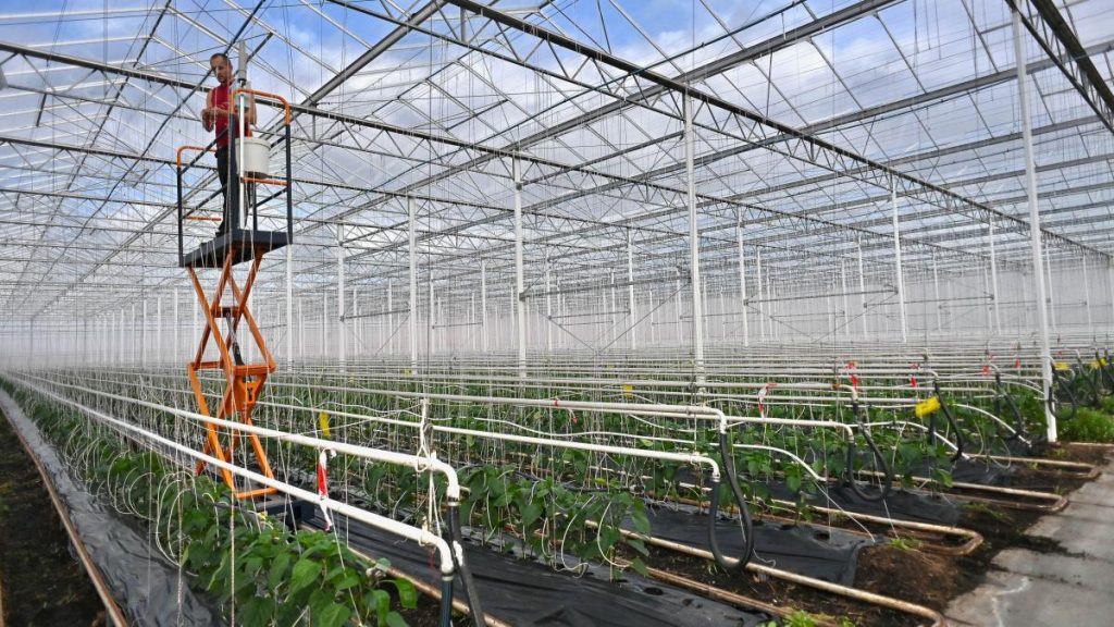 noi informatii despre impozitul pe sere ministrul agriculturii termenul a fost extins proiectul va ajunge