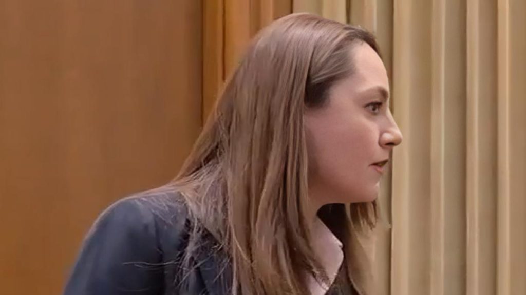 Anamaria Gavrila a avut o izbucnire de nervi in plen A strigat la o colega deputat Stai in banca