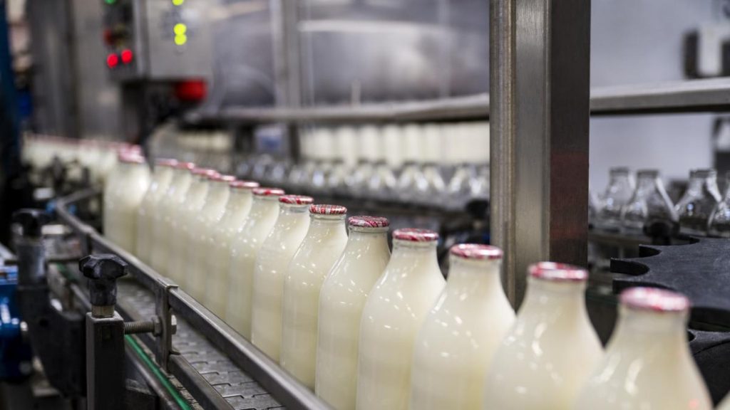 Laptele românesc dispare din piață: fermierii vând cu pierdere, iar importurile copleșesc producția… Laptele romanesc dispare din piata fermierii vand cu pierdere iar importurile coplesesc productia