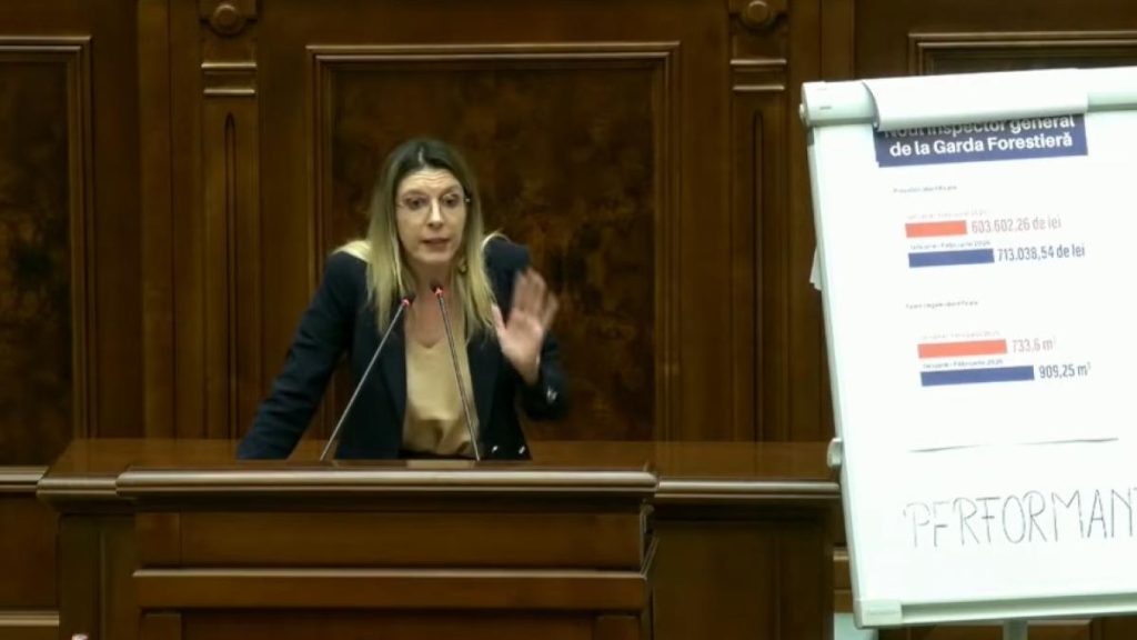 Mot iunea simpla impotriva Dianei Buzoianu a fost respinsa PSD nu a votat Bolojan a absentat Schimb dur de