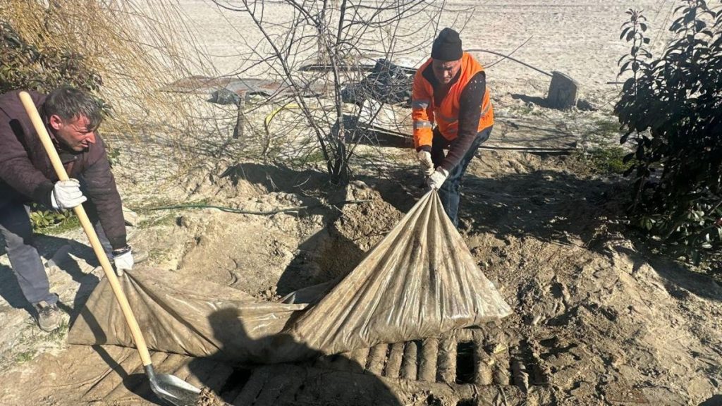 fose septice descoperite ingropate pe plajele din navodari si margona diana buzoianu