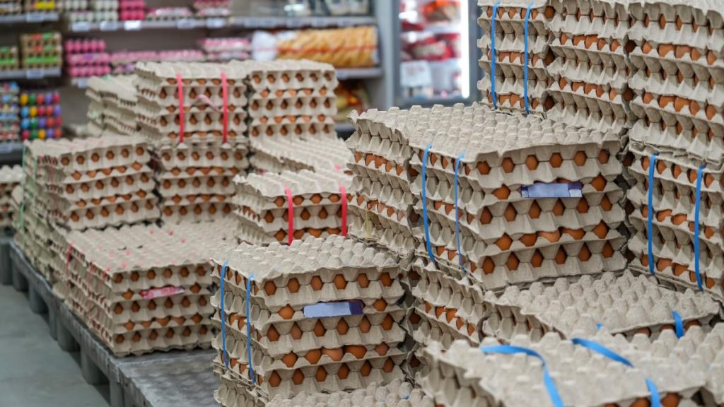 Alerta sanitar a inainte de Paste 1 5 milioane de oua contaminate cu Salmonella la Vaslui